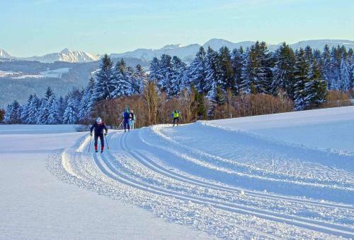 Hostal Hotel Allg�u Garni