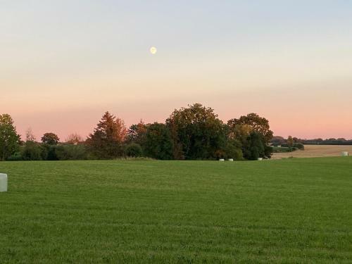 Apartamento Zum Felde Ferienwohnungen