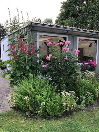 Apartamento Zum Felde Ferienwohnungen