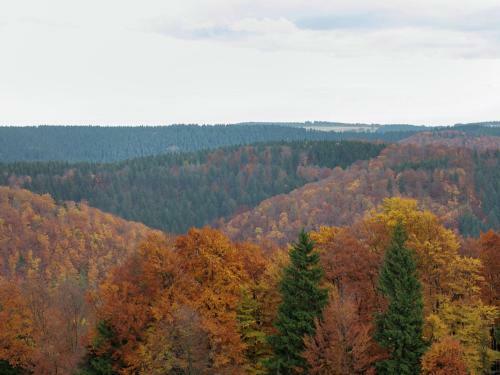 Apartment Am Thuringer Rennsteig Frauenwald