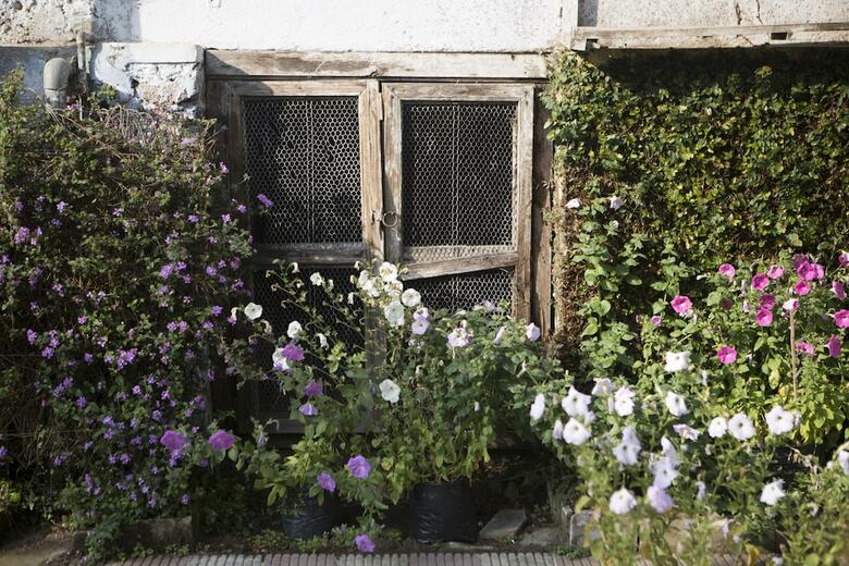 Hotel Goomtee Tea Garden Retreat