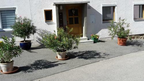 Apartamento Ferienwohnung Uschkereit