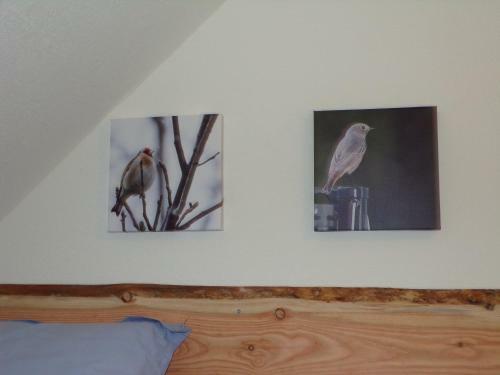 Apartamento Naturferienhaus Luppbodem�hle