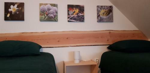 Apartamento Naturferienhaus Luppbodem�hle