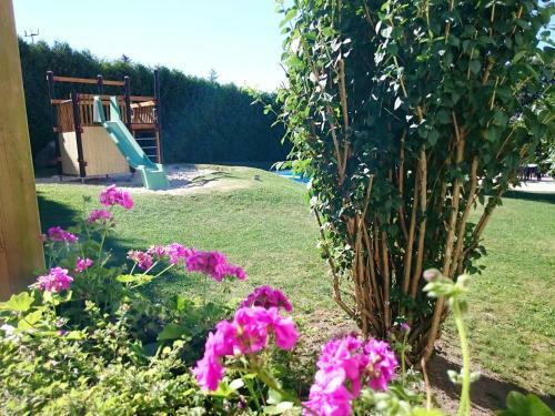 Apartamentos Ferienanlage Harzfreunde