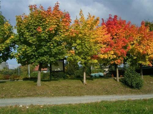 Apartamento Ferienwohnung Poppe