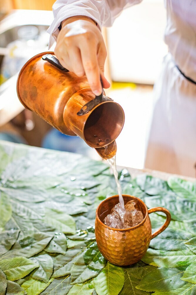 Hotel Hacienda La Danesa