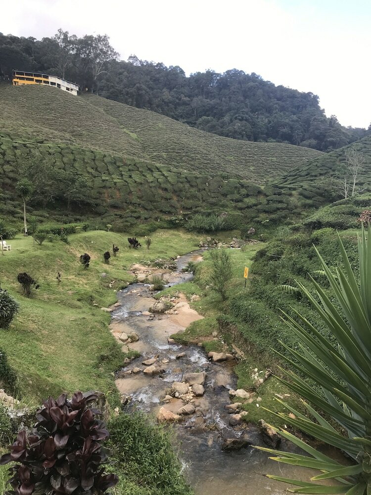 Apartamentos Blue Romance Cameron Highlands