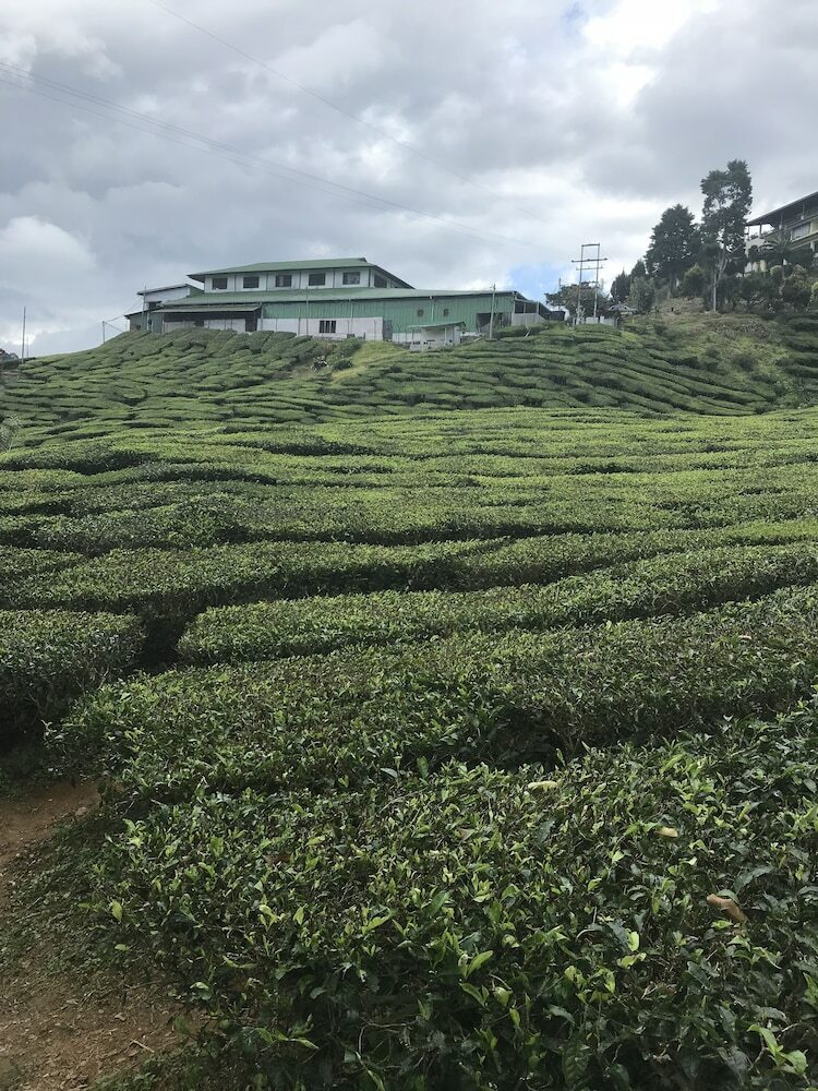 Apartamentos Blue Romance Cameron Highlands
