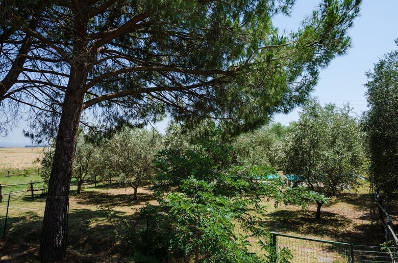 Agroturismo Corte Alle Rose