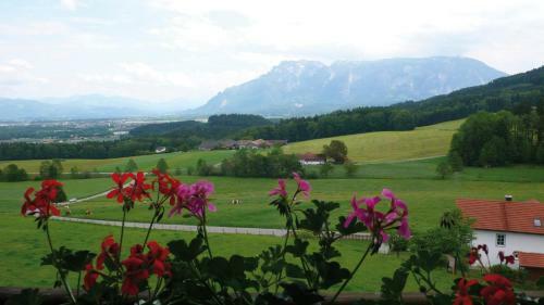 Hotel Gasthaus Ulrichsh�gl