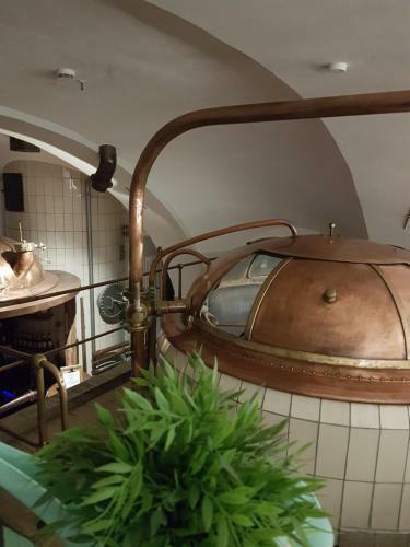 Hotel Gasthof Traubenbr�u