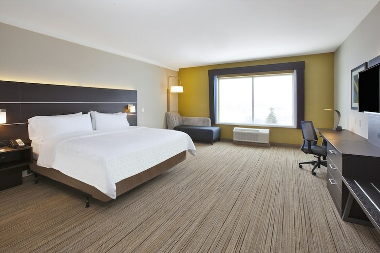 Hotel Holiday Inn Express Auburn Hills South