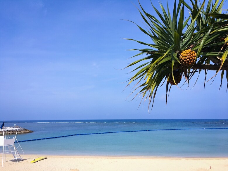 Hotel Araha Resort Arapana