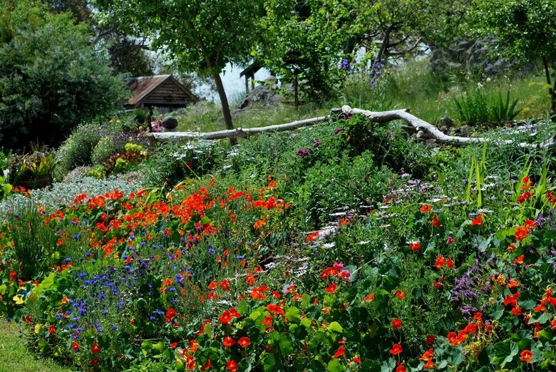 Inspiring Views B&B Artisan Homestead
