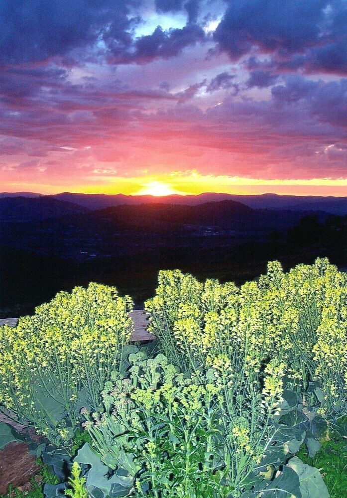 Inspiring Views B&B Artisan Homestead