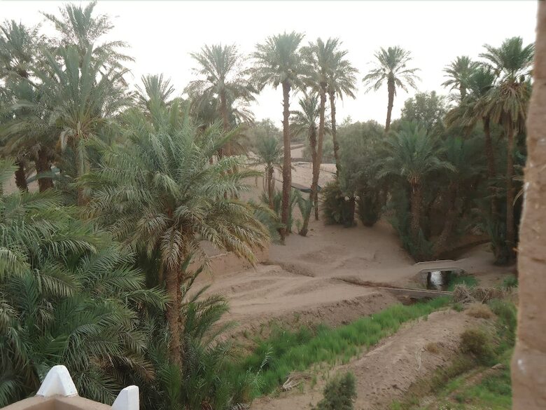 Hotel Riad Tagmadart Ferme D'h�te