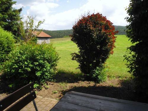 Hostal Gasthof-pension-kraus