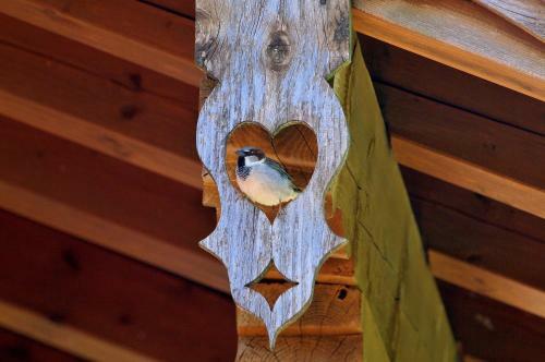 Hostal Gasthof-pension-kraus