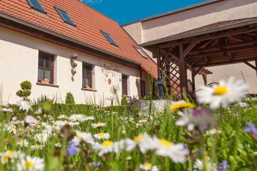 Hostal Wellnesspension Vier Napoleonslinden