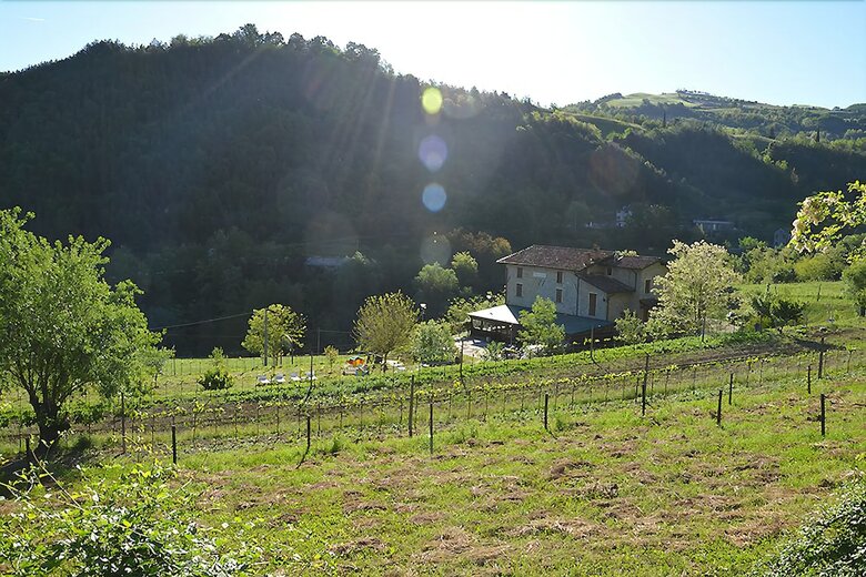 Agroturismo Agriturismo Campo Rosso
