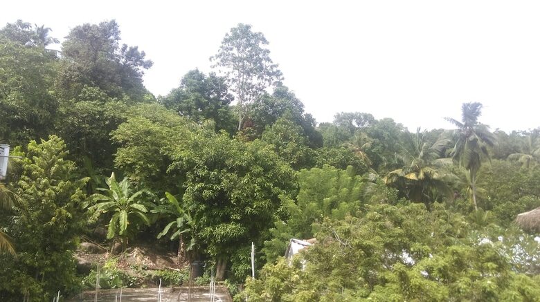 Hotel Aluthgedara Guest House