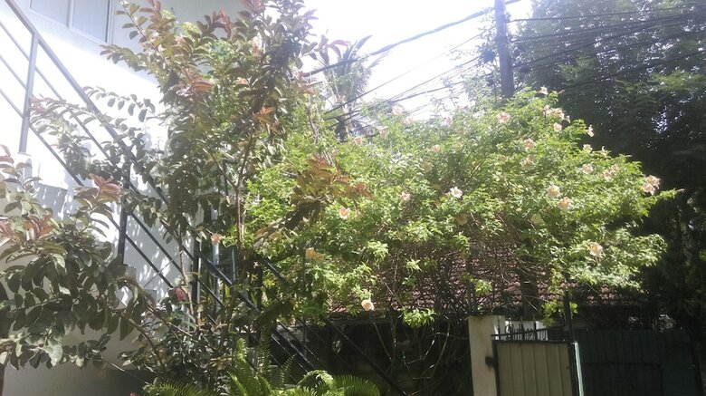 Hotel Aluthgedara Guest House