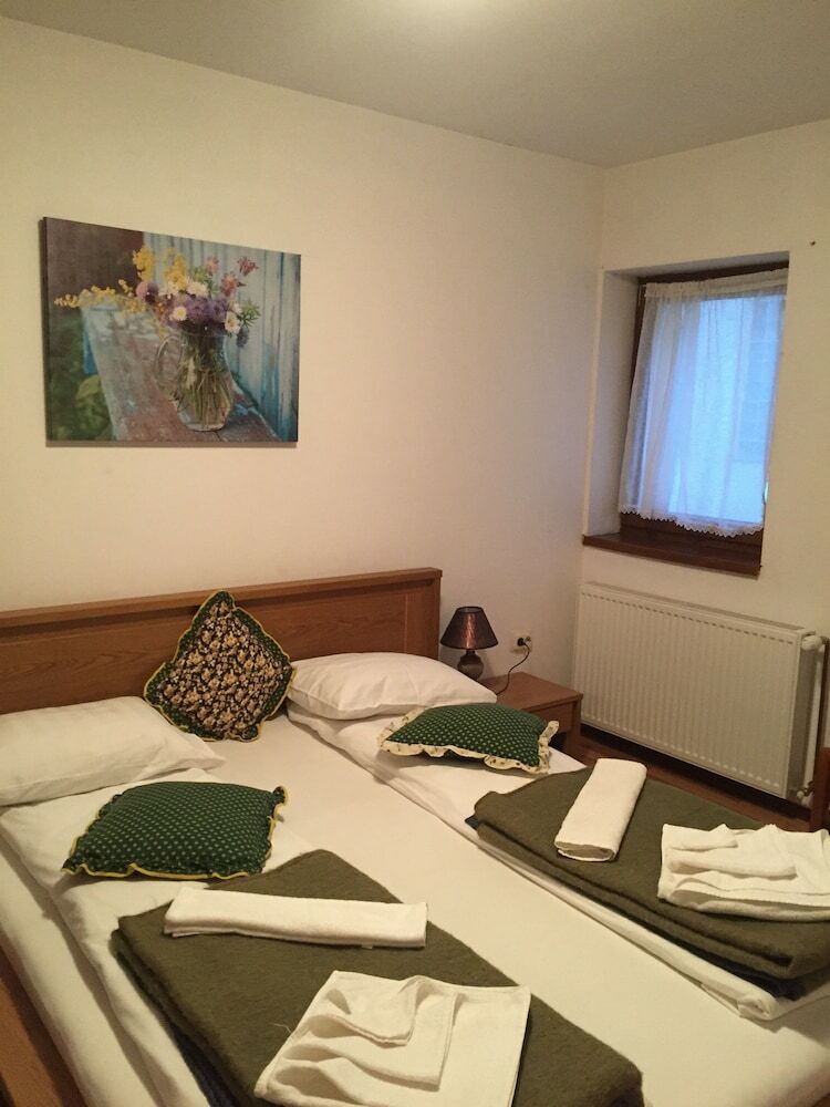 Hotel Pension Buon Gusto Sibiu