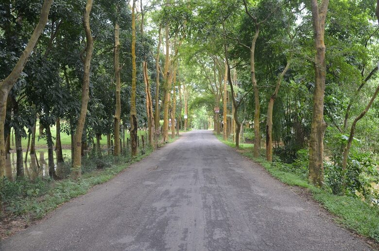 Hotel Lawachara Eco Cottage