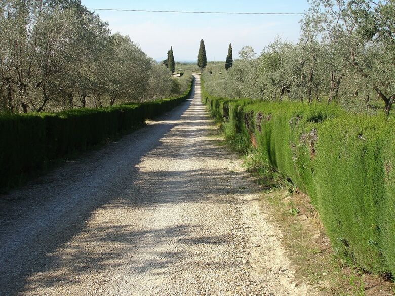Apartamento Agriturismo La Papessa
