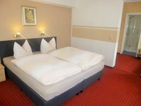 Hostal Hotel Waldhaus-hutzelh�h