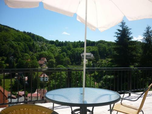 Hostal Hotel Waldhaus-hutzelh�h