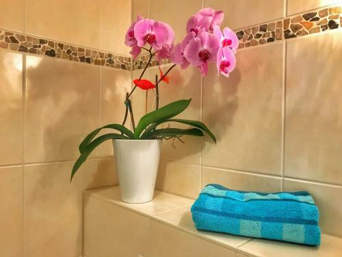 Bed & Breakfast Apartment Happy Mosel