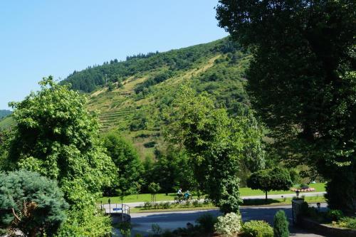 Parkhotel Cochem