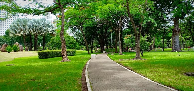 Five Star Studio Apartment Near Airport