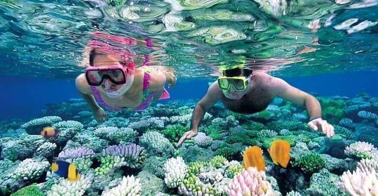 Bed & Breakfast Baraka Aquarium Bungalows