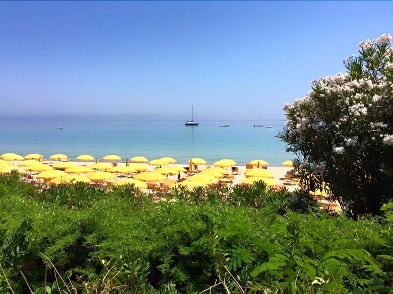Hotel Free Beach Club