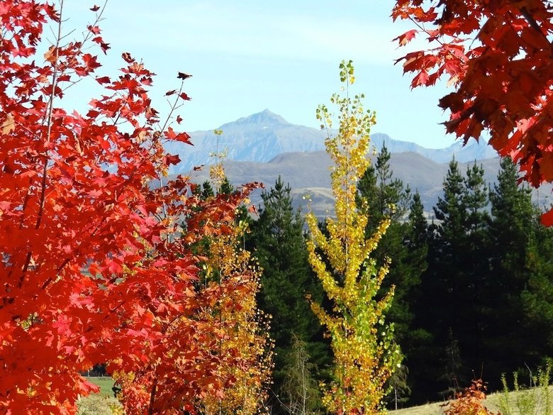 Hotel Mitchella Farm Bed & Breakfast