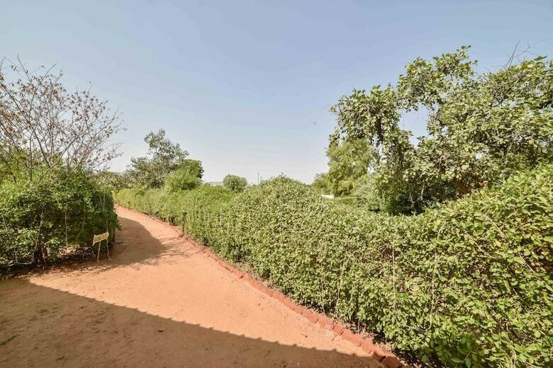 Hotel Pushkar Rajwara Resort