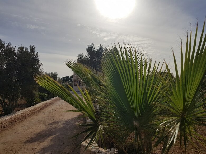 Villa Al-jaouhara