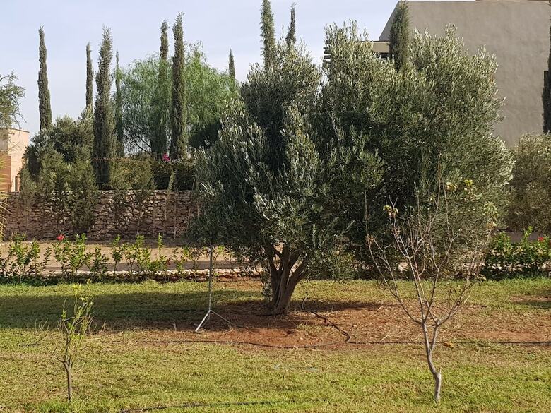 Villa Al-jaouhara
