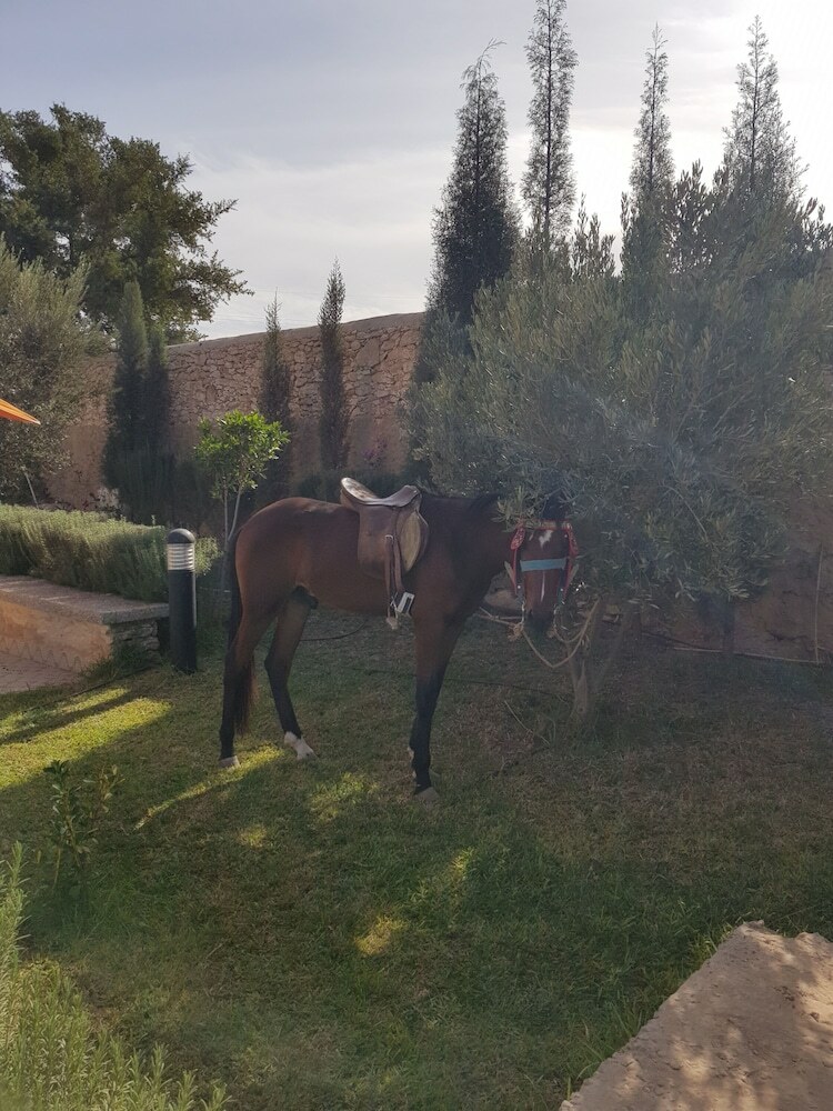 Villa Al-jaouhara