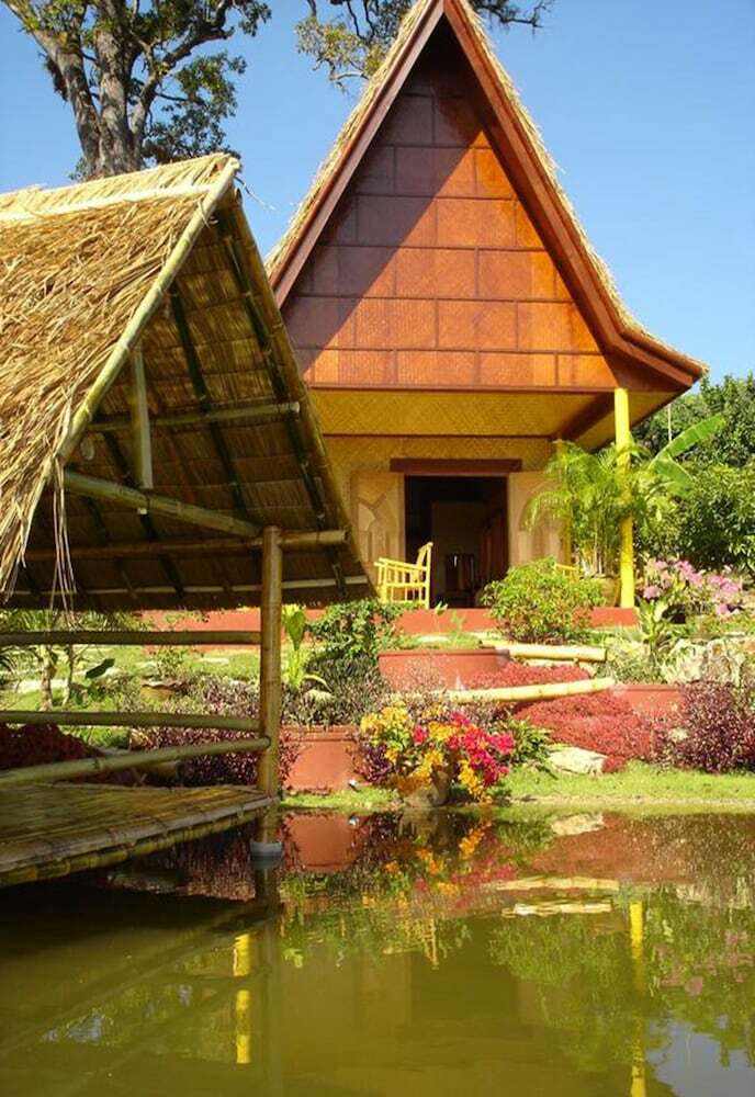 Hotel The Old Tree House