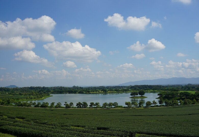 Hotel Singha Park Chiang Rai Camping