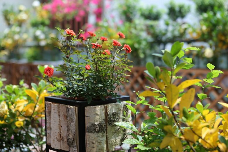 Hotel James Joyce Coffeetel Changshoulu Branch