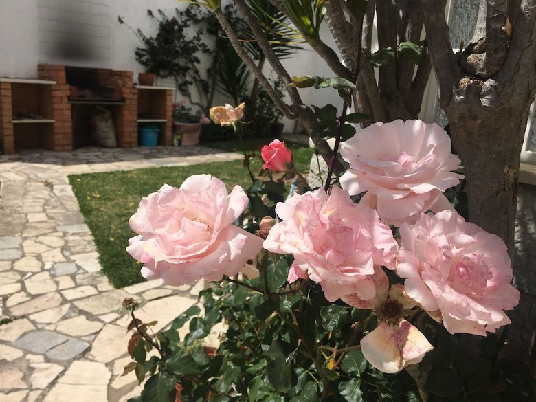 Apartamentos Two Bedroom Self Contained House