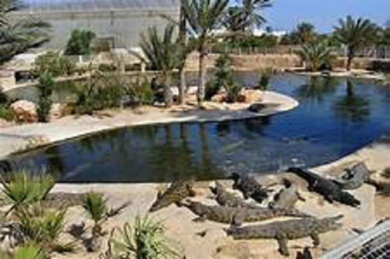 Hotel H�tel Les Palmes D'or