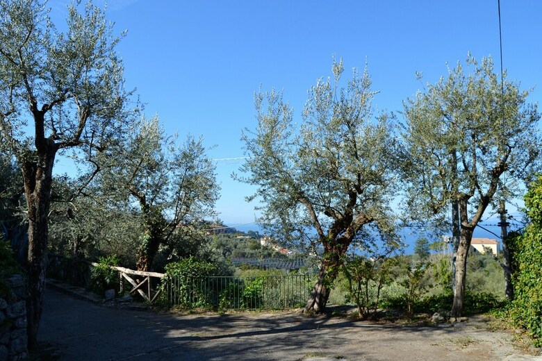 Apartamento Casa Degli Ulivi