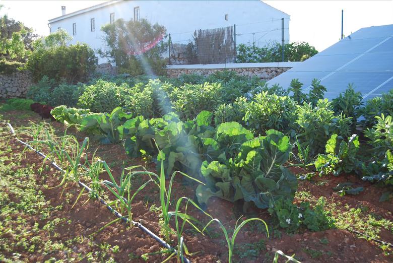 Agroturismo Biniati Des Pi