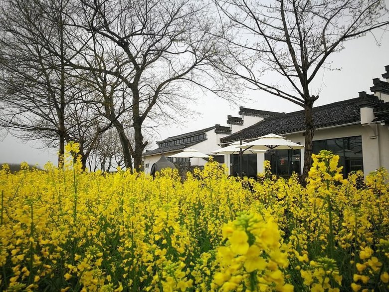 Bed & Breakfast Huangshan Huizhou Creek Villa